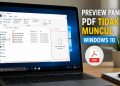 Preview Pane PDF
